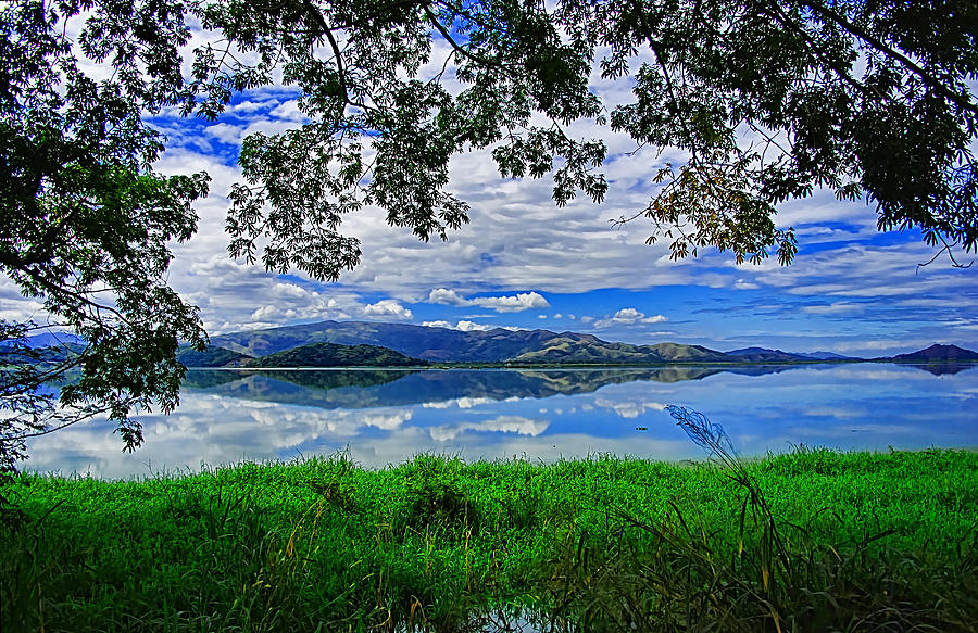 Tree Photograph - Taguaiguai lake #1 by Galeria Trompiz