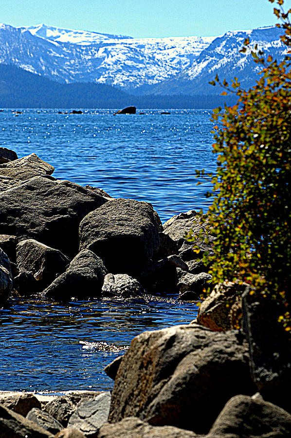 Lakes Photograph - Tahoe Is Blue by Lynn Bawden