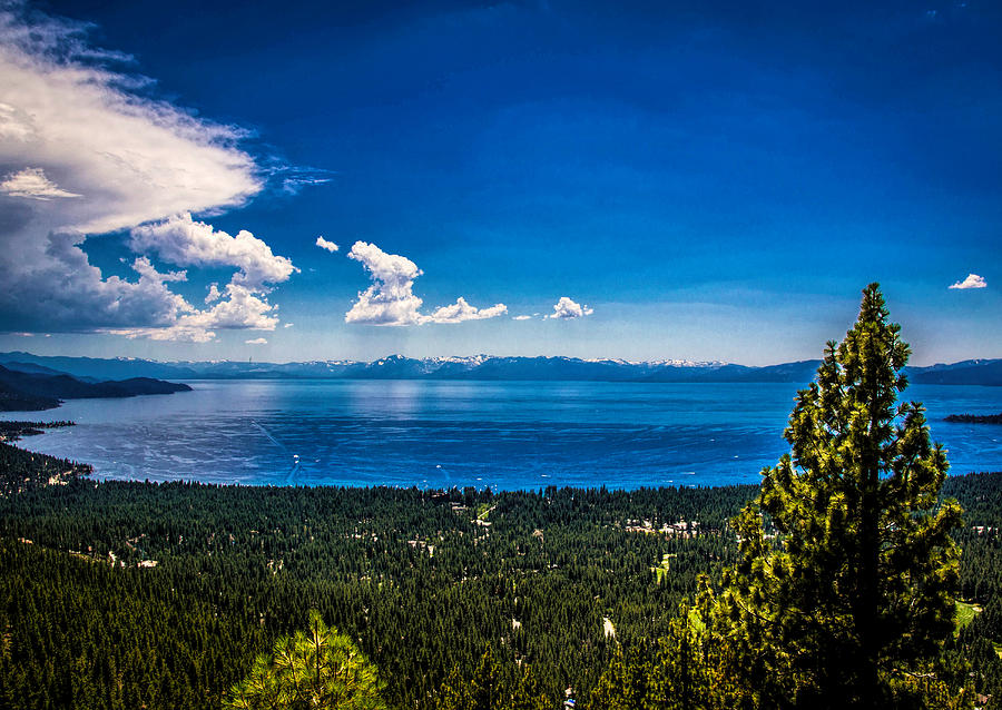 Tahoe Blue #1 Photograph by Steph Gabler