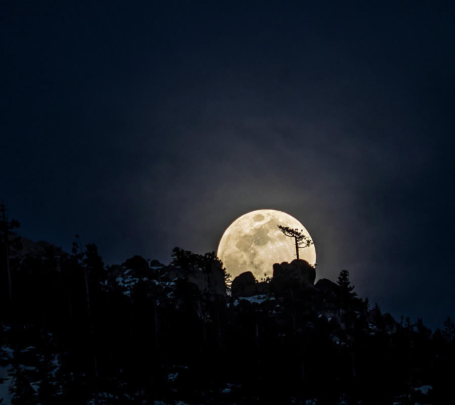 Tahoe Moonrise #1 Photograph by Martin Gollery
