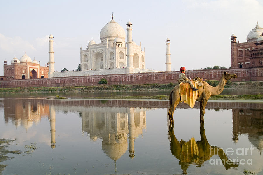 Taj Mahal #1 Photograph by Bill Bachmann - Printscapes