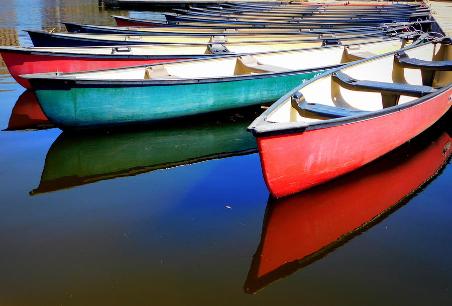 The boats of Dow's Lake Photograph by Karen Cook | Fine Art America