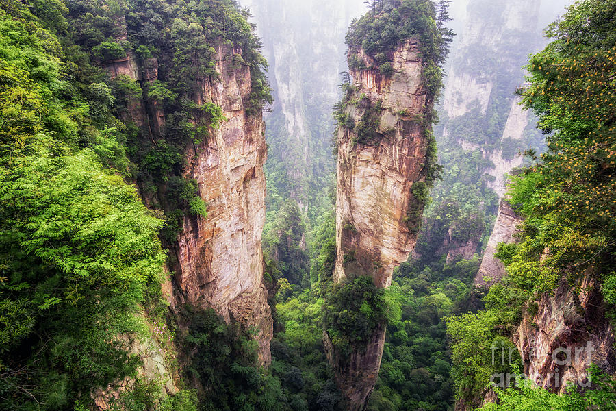 Avatar Photograph - Tall Mountain Peaks Of Yuanjiajie #1 by Aaron Choi