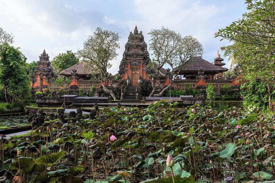 Taman Saraswati - Ubud, Bali Photograph by Joana Kruse - Fine Art America