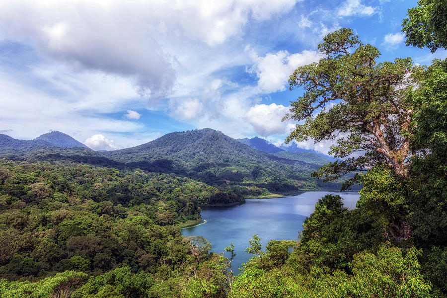 Tamblingan Lake - Bali Photograph by Joana Kruse - Fine Art America