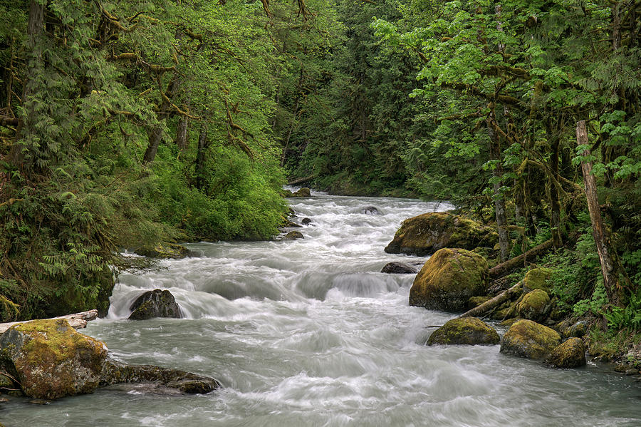 Tamihi Creek in Chilliwack River Valley Photograph by Michael Russell ...