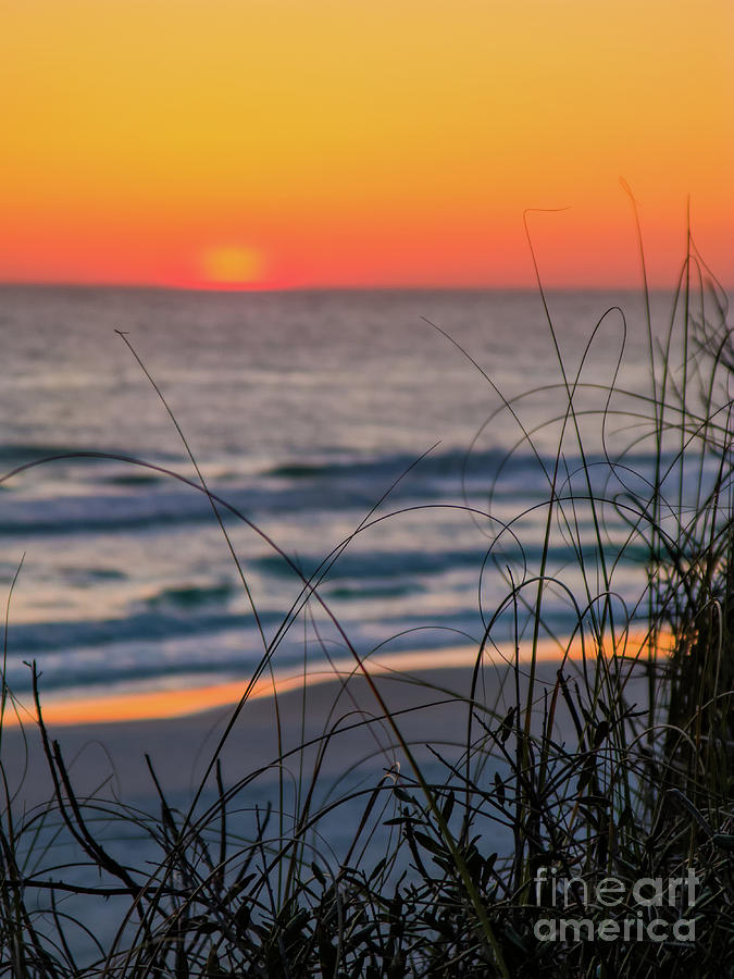 Tangerine Sunrise #1 Photograph by Doug Sturgess