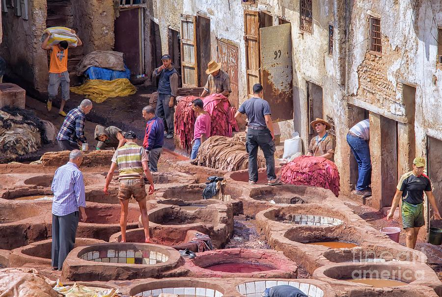 Tannery in Fez Photograph by Patricia Hofmeester