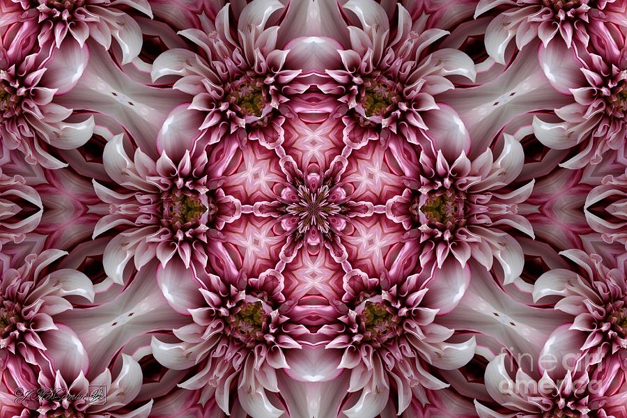 Tartan Mandala #1 Digital Art by J McCombie