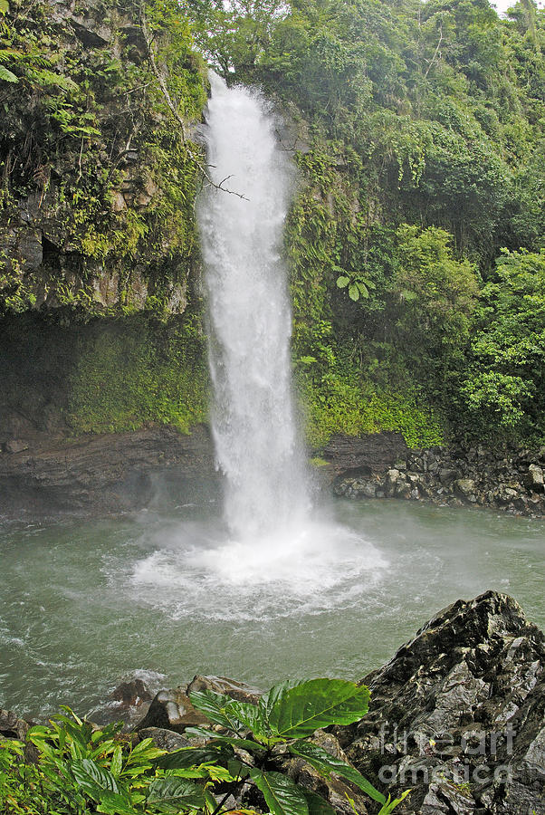 Taveuni, Tavoro Waterfall #1 Photograph by Himani - Printscapes
