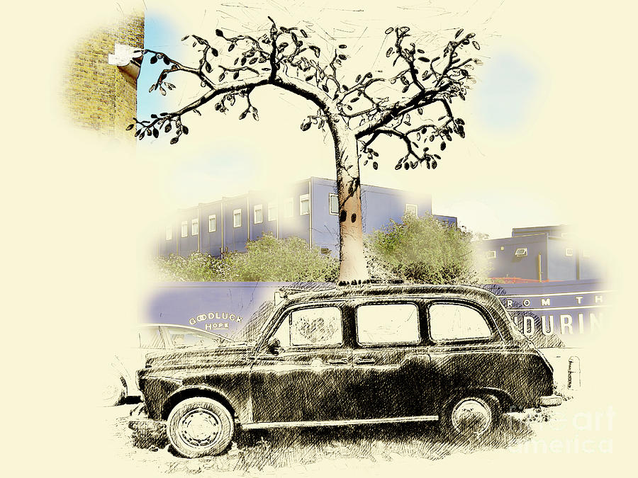 Taxi Tree #2 Photograph by Jack Torcello