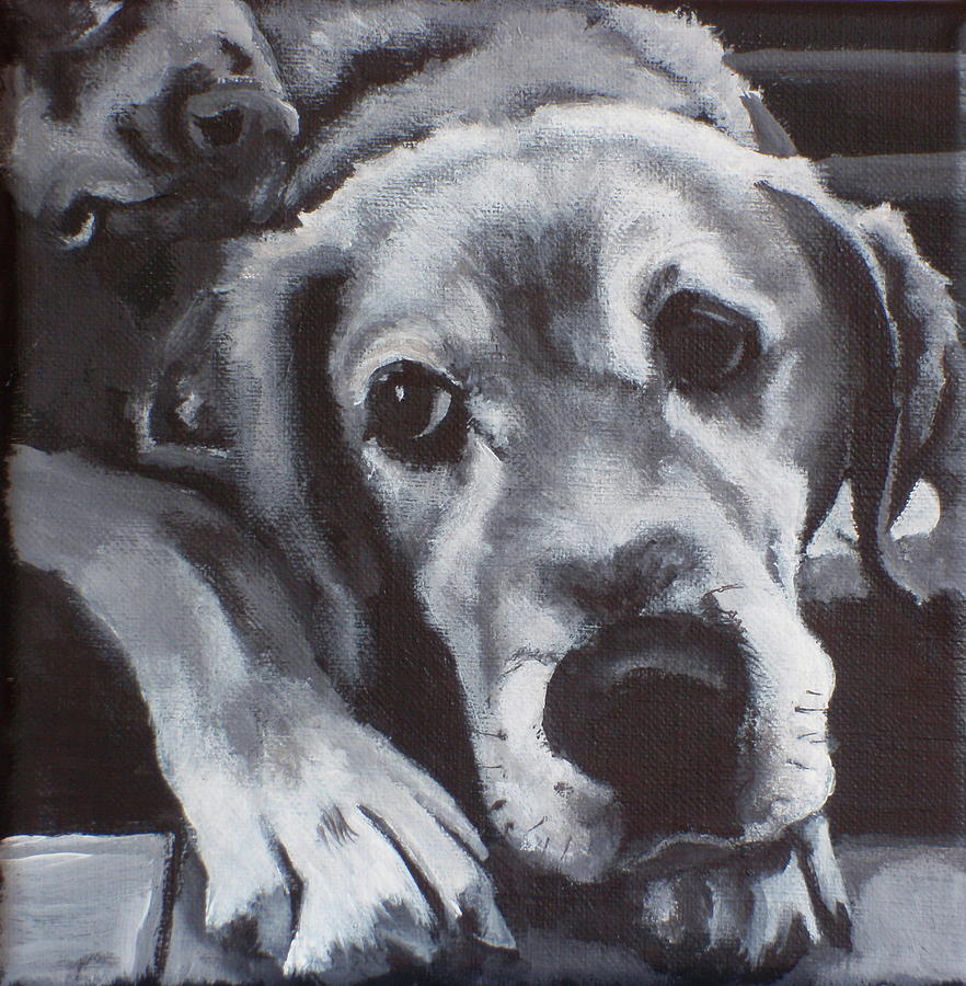 Teddy #1 Painting by Carol Russell