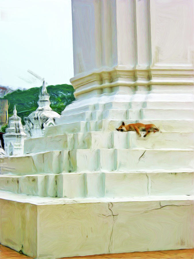 Temple Dog 4 by Bates Clark Temple Dog 4 by Bates Clark