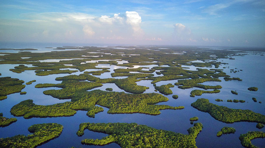 Ten Thousand Islands Aerial Photograph by Joey Waves