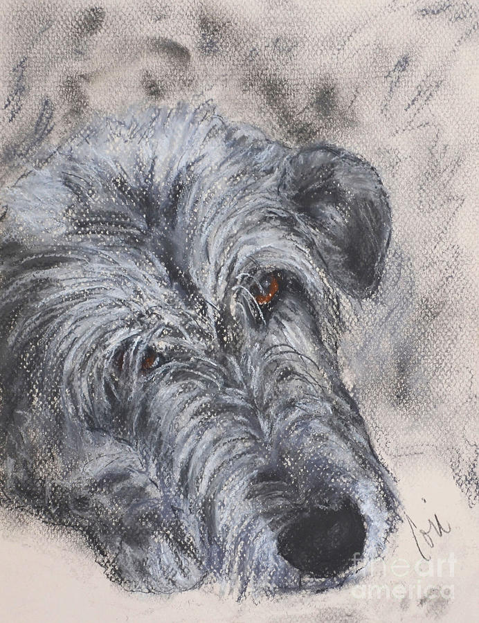 Dog Drawing - Tender Moments #2 by Cori Solomon