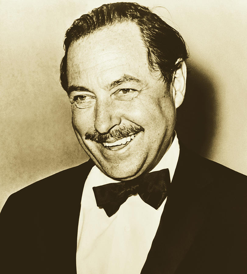 Tennessee Williams 1964 #2 Photograph by Mountain Dreams