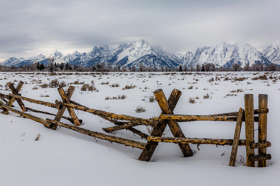 Teton Chill Photograph by Gary Migues
