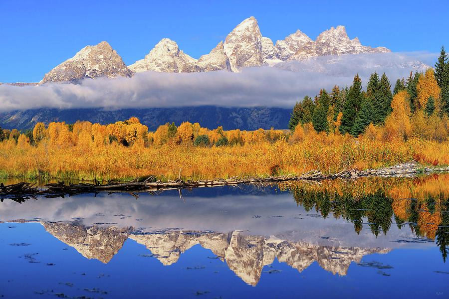Teton Morning Reflections #2 Photograph by Greg Norrell