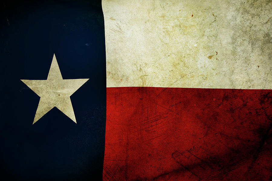 Texas flag #1 Photograph by Les Cunliffe