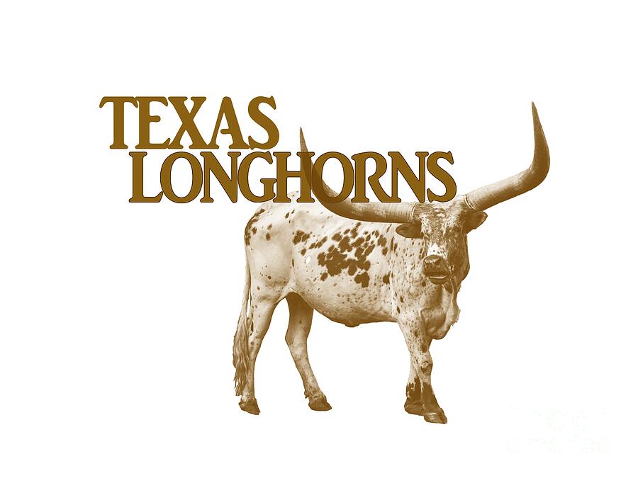 Texas Longhorns Photograph by Priscilla Burgers