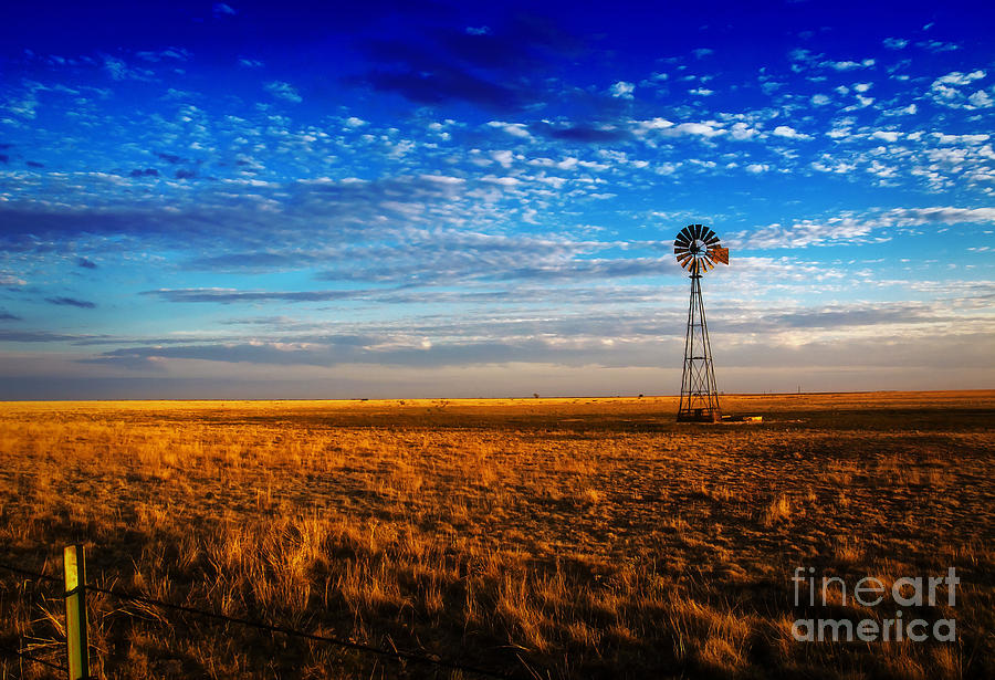 Horse Photograph - Texas Plains Windmill #2 by Fred Lassmann