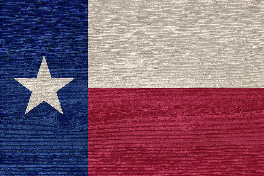 Decorative Texas Flag Digital Art by Gordon Beck