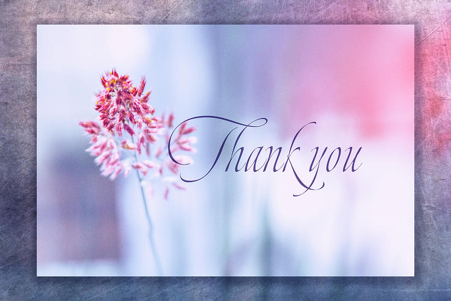 Thank You 1 Digital Art by Terry Davis