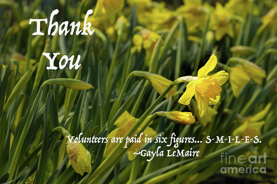 Thank You Volunteers #1 Photograph by Marilyn Cornwell