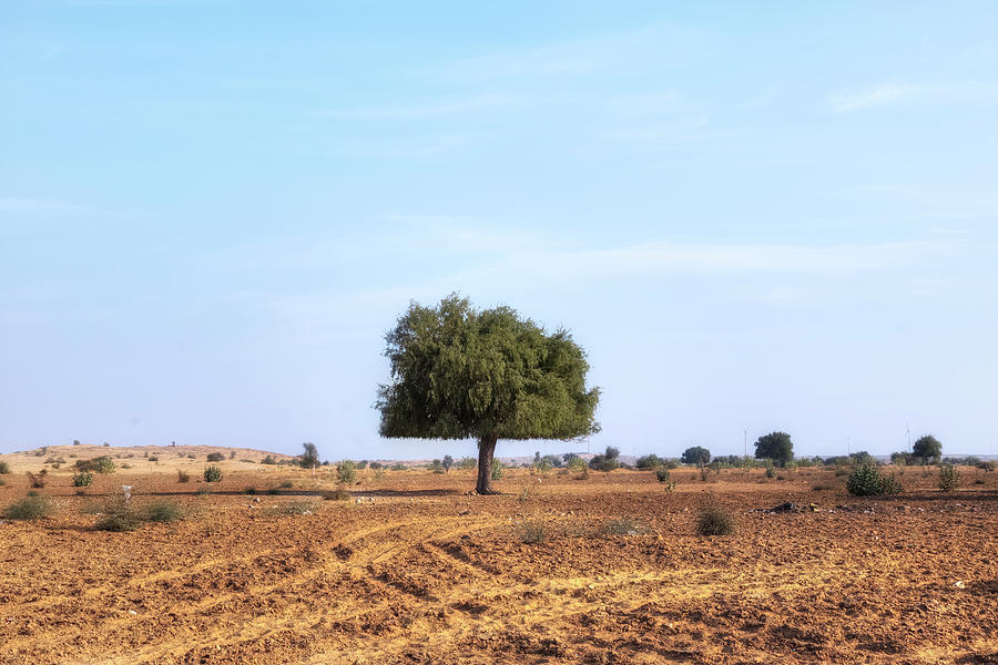 Thar Desert - India #1 Photograph by Joana Kruse