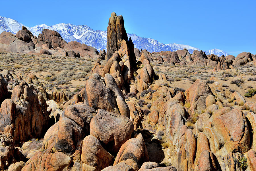 The Alabama Hills near Lone Pine California #1 Photograph by Ray Mathis