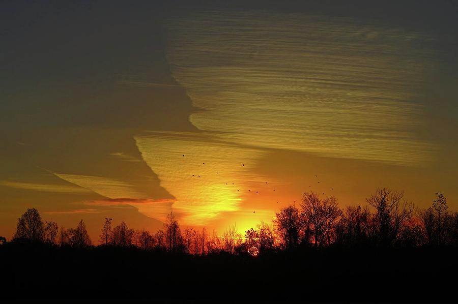 The Angel #1 Photograph by Stoney Lawrentz