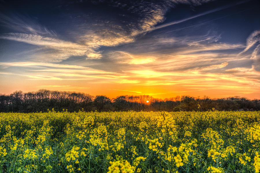 The April Farm Photograph by David Pyatt - Fine Art America