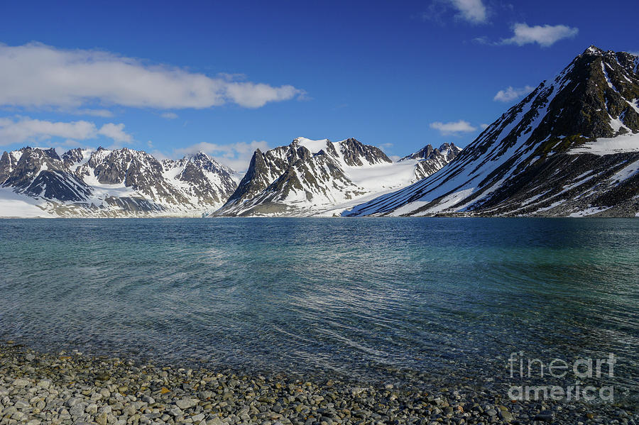 The Arctic #1 Photograph by Brian Kamprath