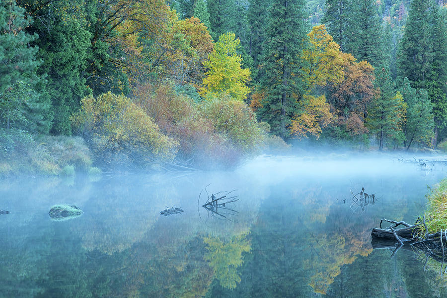 The Autumn Canvas #2 Photograph by Jonathan Nguyen