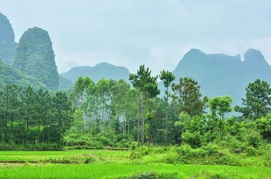 The beautiful karst rural scenery. #1 Photograph by Carl Ning