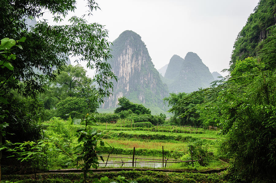 The beautiful karst rural scenery in spring #1 Photograph by Carl Ning