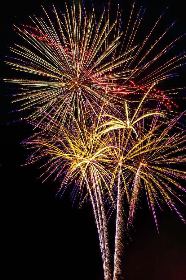 The Beauty Of Fireworks #2 Photograph by Garry Gay