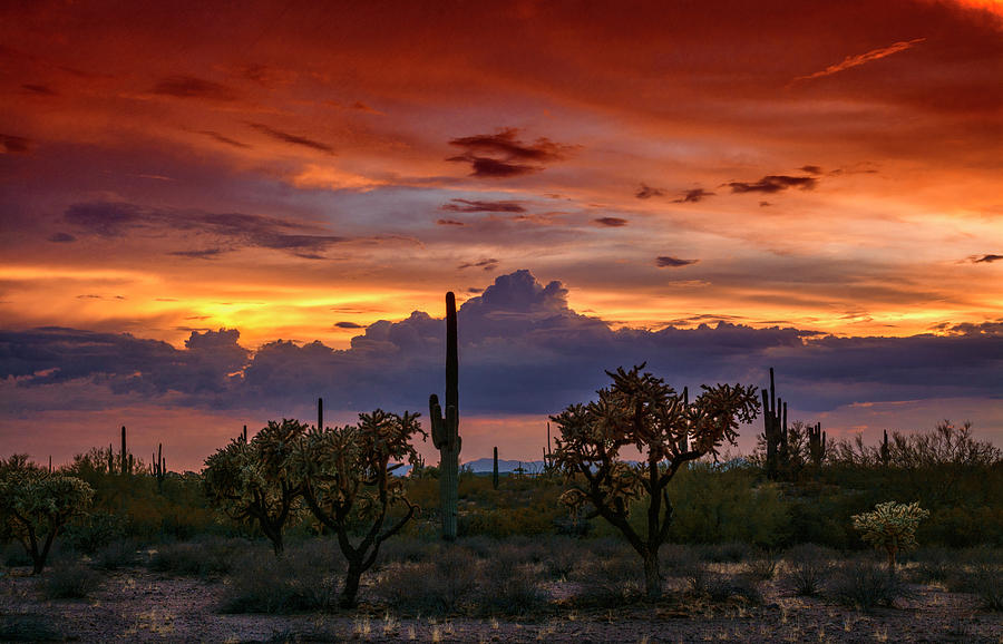 The Beauty of the Southwest  #2 Photograph by Saija Lehtonen