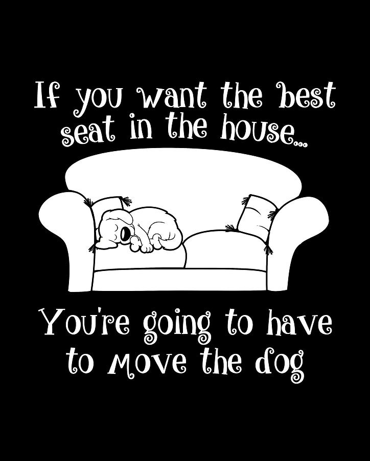 If you want the best seat hotsell in the house move the dog