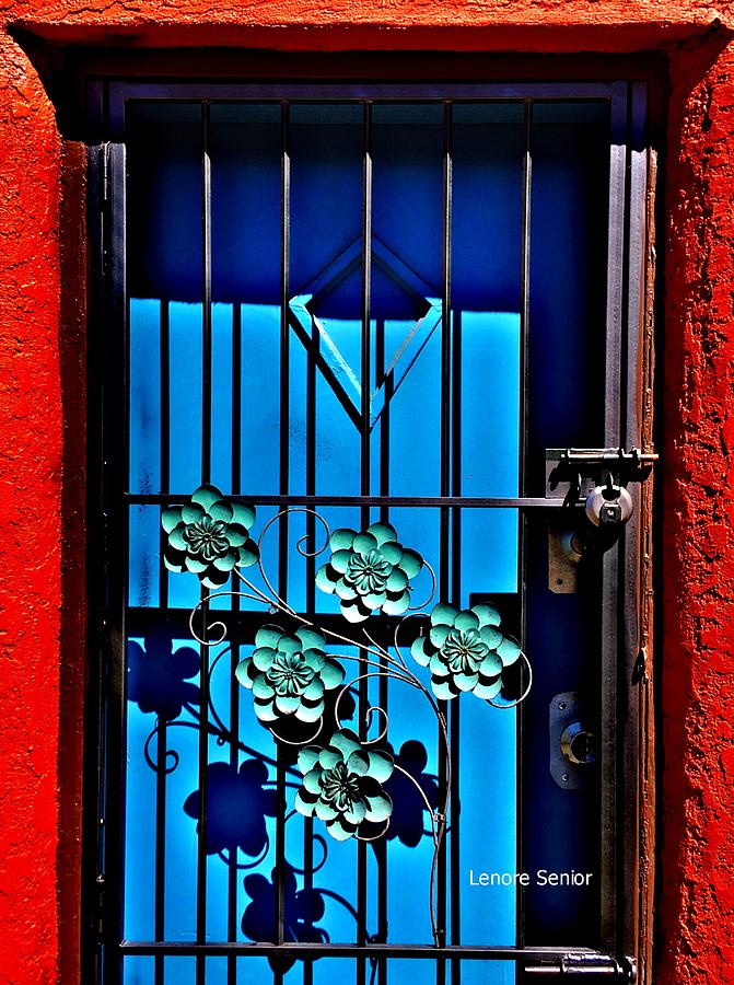 The Blue Door #2 Photograph by Lenore Senior