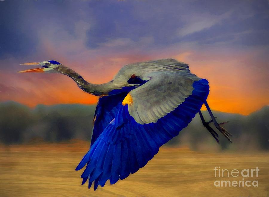 The Blue Heron #1 Photograph by John Kolenberg