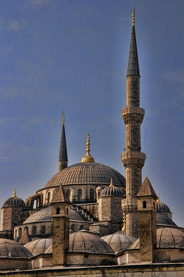 The Blue Mosque in Istanbul Turkey #1 Photograph by David Smith