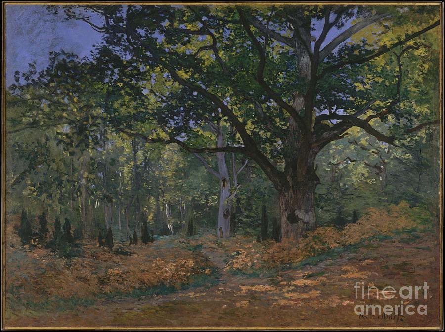 Claude Monet Painting - The Bodmer Oak, Fontainebleau Forest #1 by Celestial Images