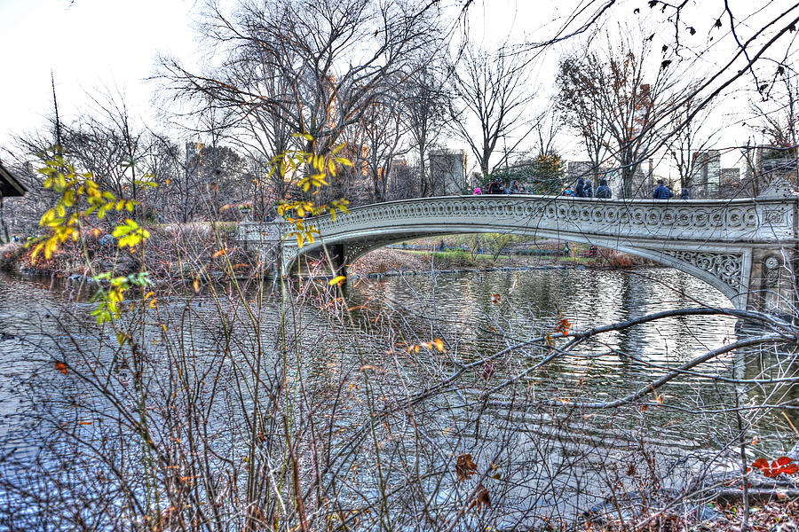 Central Park Photograph - The Bow Bridge in Central Park #1 by Randy Aveille