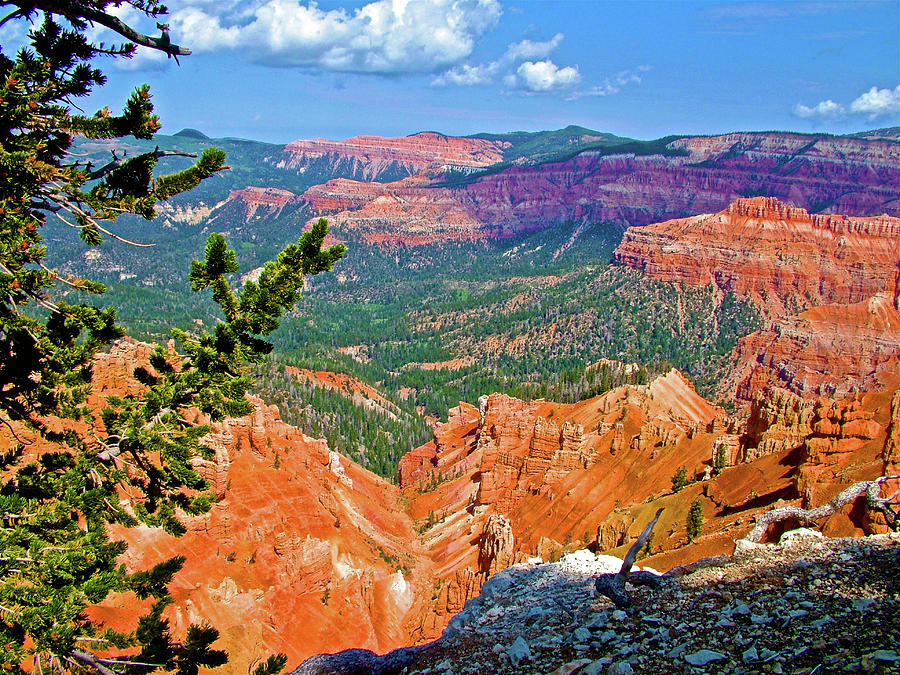 The Breaks on Ramparts Trail in Cedar Breaks National Monument, Utah #1 Photograph by Ruth Hager