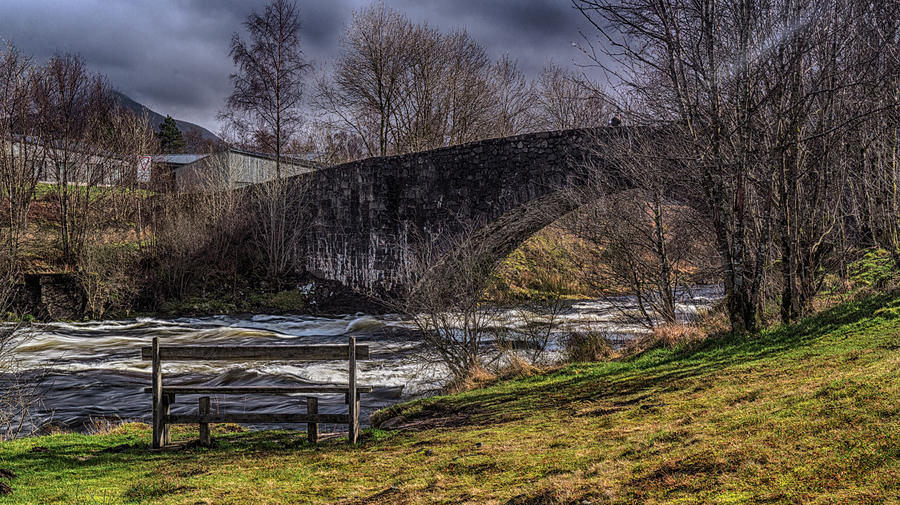 Tree Photograph - The Bridge of Orchy #1 by Douglas Milne