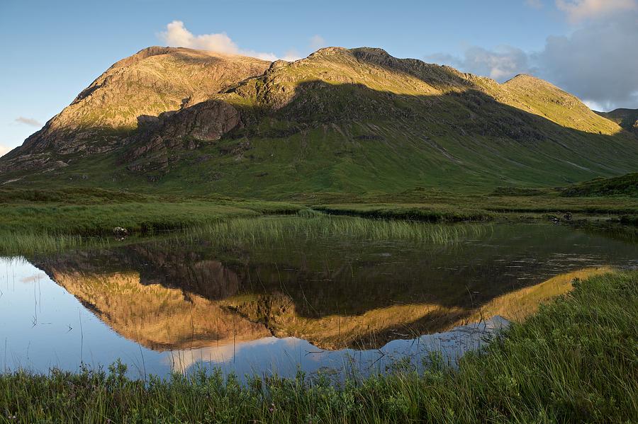 The Buachaille #1 Photograph by Stephen Taylor