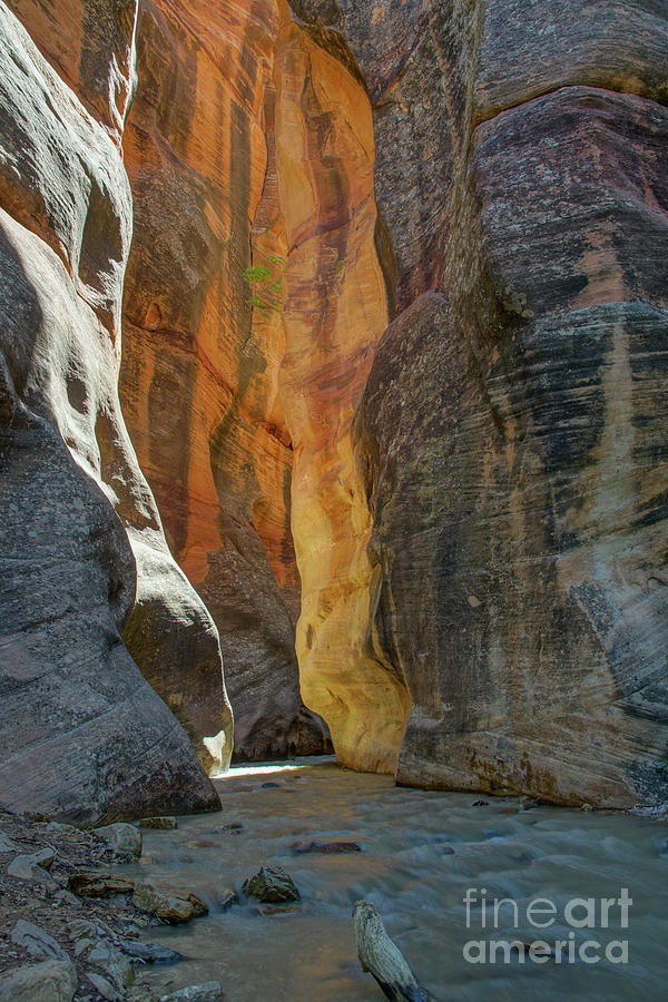 The Canyon #1 Photograph by Brian Kamprath