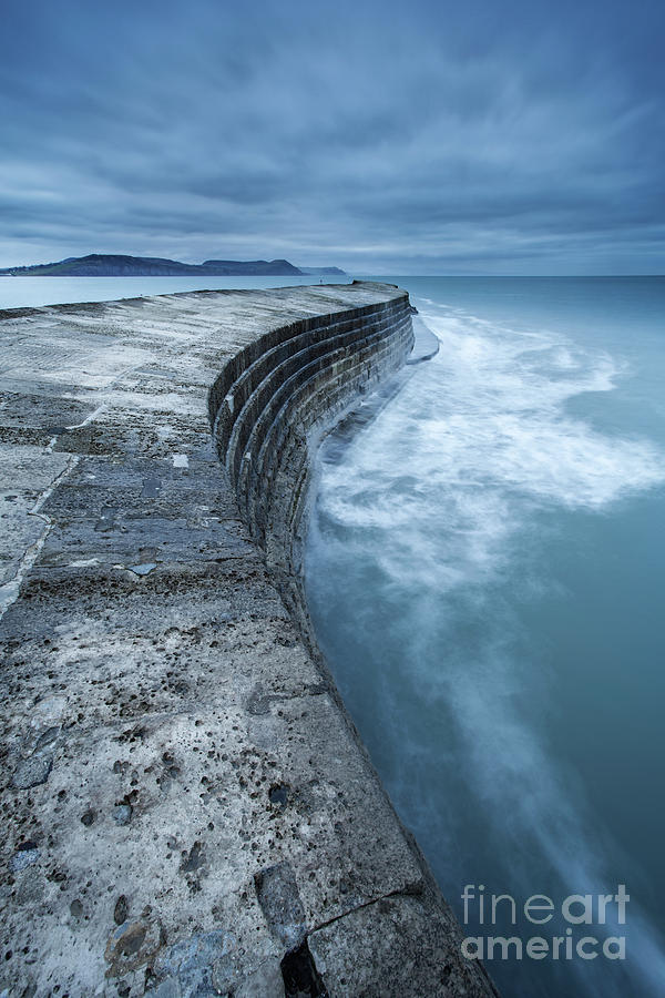The Cobb, Lyme Regis,  #1 Photograph by Martin Williams