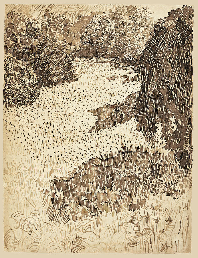 The Corner Of The Park #1 Drawing by Vincent van Gogh